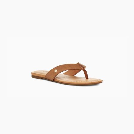 UGG Tuolumne - Flip Flops Dame - Brune (NO-Y740)